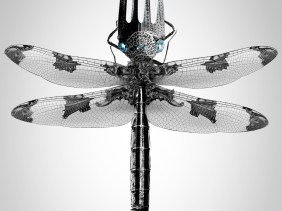 insects, insect, steampunk, art, artist, molleví, bug, coleopter, beettle, beatle, dragonfly, fork, carmin, lipstick, clock, watch, spoon, silver, gold, golden, mechanical, ladybug, worm, animals, barroco, rococo, jewelry, jewels, parfum, spider, aracne, arachnid, black, dark, poison, bee, wine, design, stilish, luxury, scary, rubi, diamond, magic, fantasy, witch, wizard, macro, photoshop, handcraft, blacksmith, life