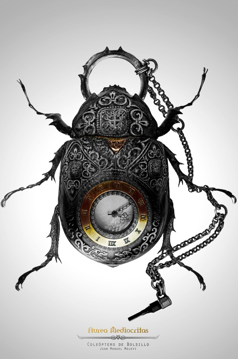 insects, insect, steampunk, art, artist, molleví, bug, coleopter, beettle, beatle, dragonfly, fork, carmin, lipstick, clock, watch, spoon, silver, gold, golden, mechanical, ladybug, worm, animals, barroco, rococo, jewelry, jewels, parfum, spider, aracne, arachnid, black, dark, poison, bee, wine, design, stilish, luxury, scary, rubi, diamond, magic, fantasy, witch, wizard, macro, photoshop, handcraft, blacksmith, life