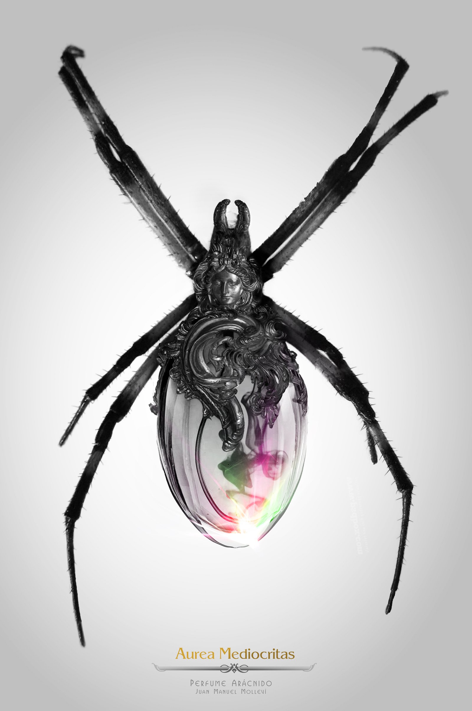 Perfume Arácnido insects, insect, steampunk, art, artist, molleví, bug, coleopter, beettle, beatle, dragonfly, fork, carmin, lipstick, clock, watch, spoon, silver, gold, golden, mechanical, ladybug, worm, animals, barroco, rococo, jewelry, jewels, parfum, spider, aracne, arachnid, black, dark, poison, bee, wine, design, stilish, luxury, scary, rubi, diamond, magic, fantasy, witch, wizard, macro, photoshop, handcraft, blacksmith, life
