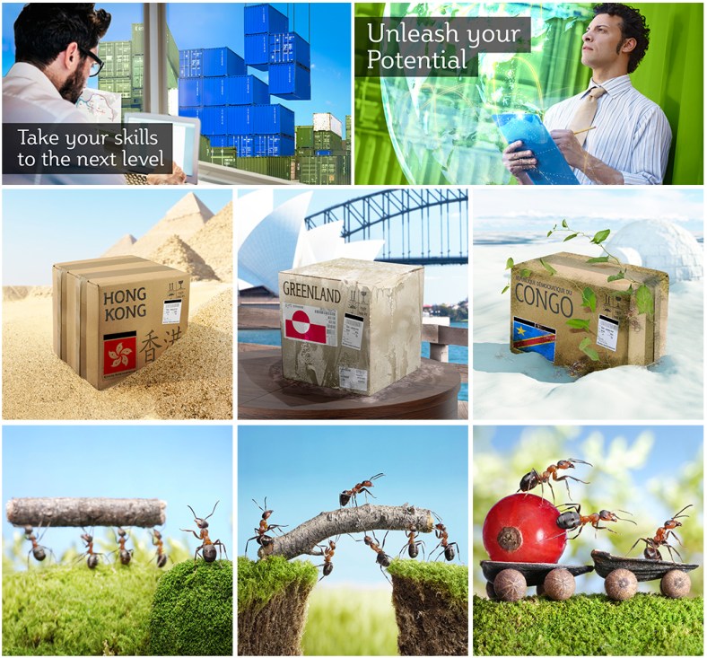 Screen Shot 2015-07-16 at 4.09.42 pm