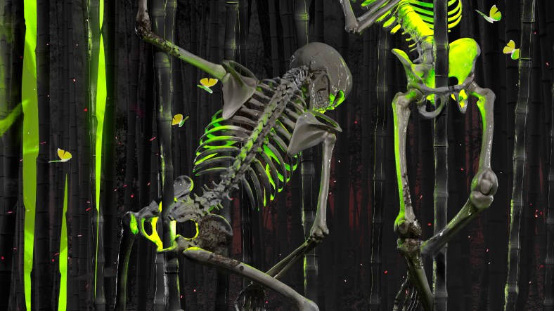 Bamboo Samsara 16 9 d